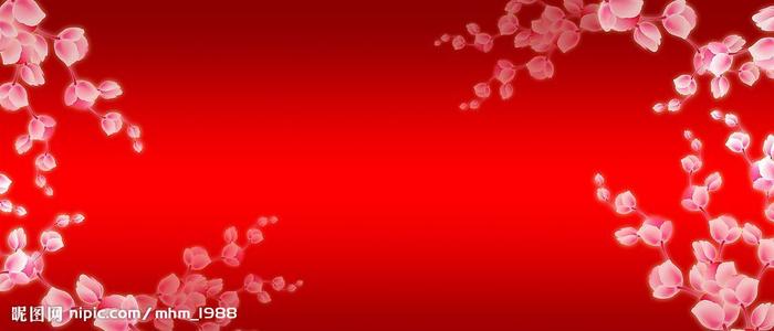 玛卡莱斯特学院Diploma in Finance